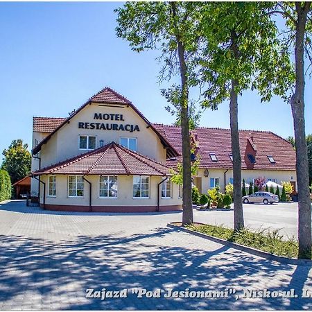 Zajazd Pod Jesionami Nisko Exterior foto